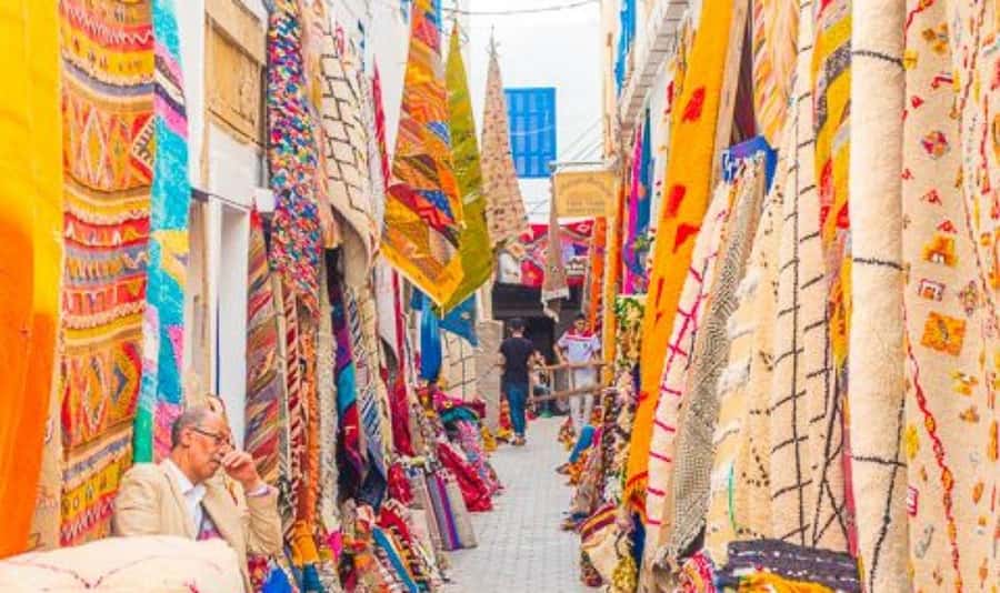 From Marrakech: Small Group to Essaouira & Sekkala Day Trip - The Morning Road Through Argan Country