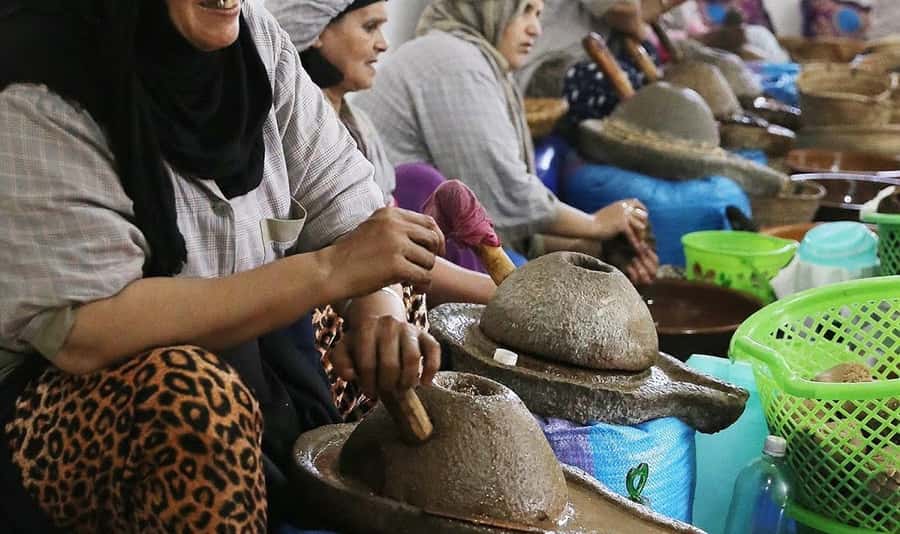 From Marrakech: Small Group to Essaouira & Sekkala Day Trip - The Return Journey and Evening Drop-Off