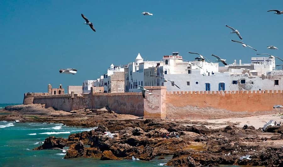 From Marrakech: Small Group to Essaouira & Sekkala Day Trip - How Much Value Do You Get for $15?