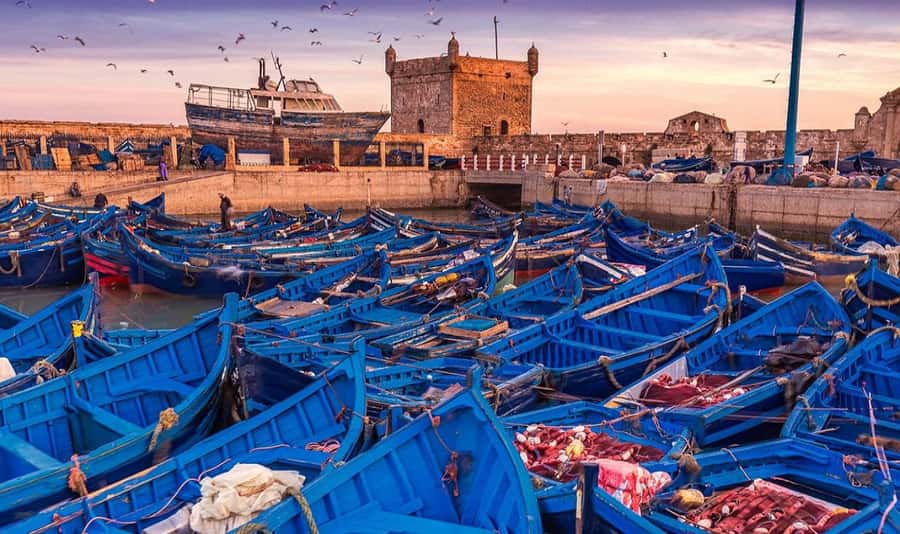 From Marrakech: Small Group to Essaouira & Sekkala Day Trip - What Happens at the Argan Oil Cooperative