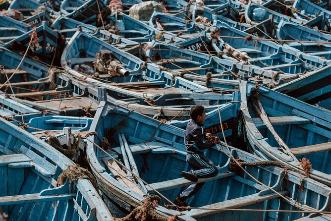 From Marrakech To Essaouira Mogador Full Day Trip | Small-group - The return journey and practical drawbacks