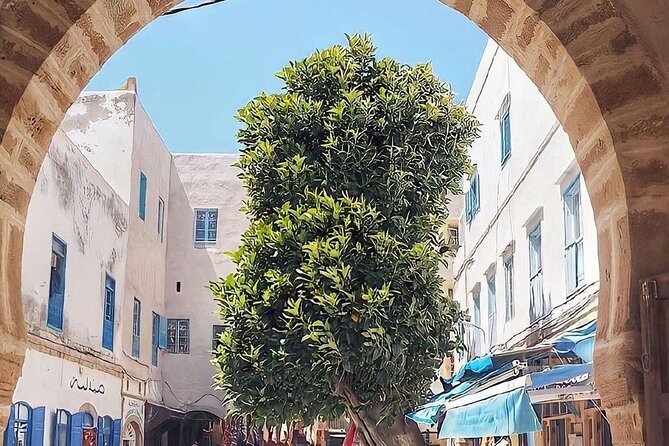 From Marrakech To Essaouira Mogador Full Day Trip | Small-group - Who should book this Essaouira day trip?