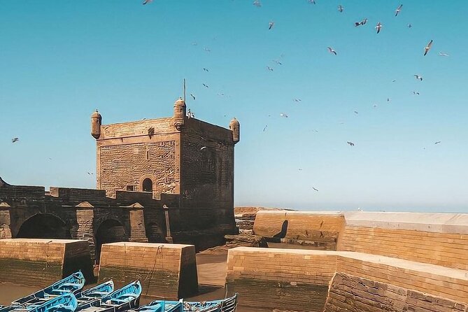 From Marrakech To Essaouira Mogador Full Day Trip | Small-group - Should you book it?