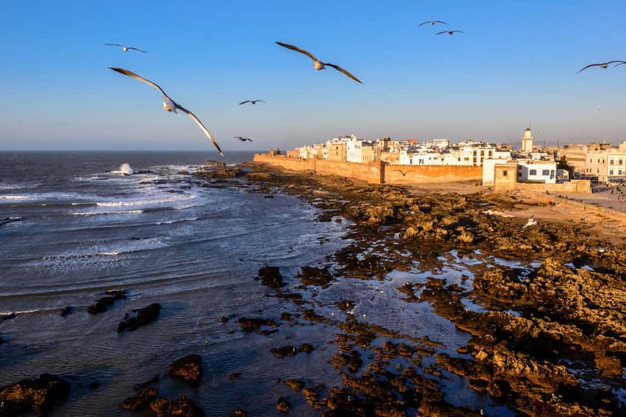 From Marrakech To Essaouira Mogador Full Day Trip Smallgroup - Key points at a glance