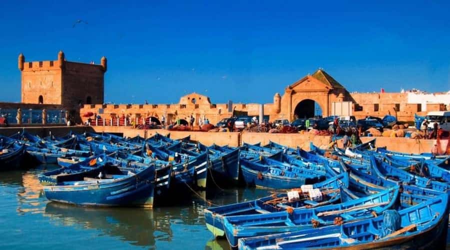 From Marrakech To Essaouira Mogador Full Day Trip Smallgroup - Why Essaouira makes a good day from Marrakech