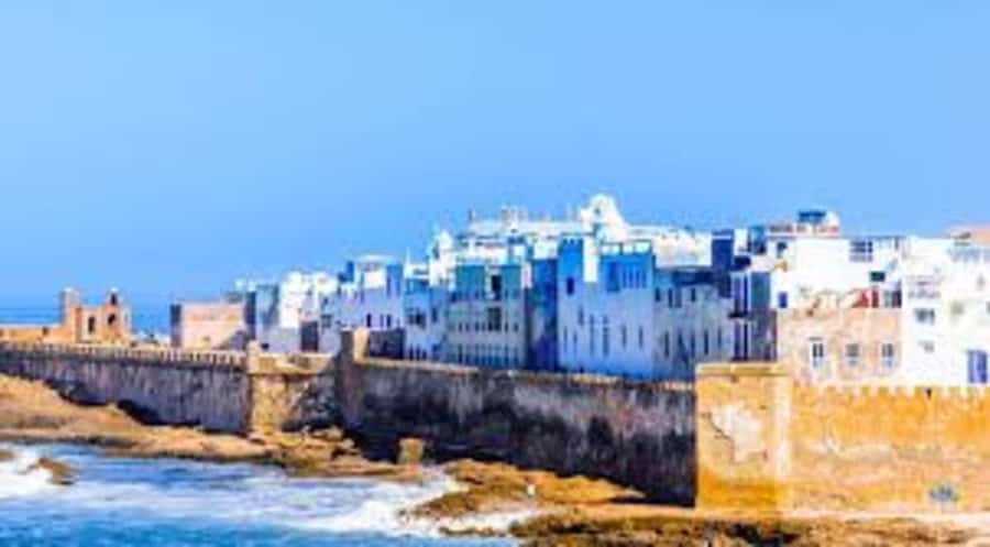 From Marrakech To Essaouira Mogador Full Day Trip Smallgroup - Argan trees, oil, and the cooperative visit