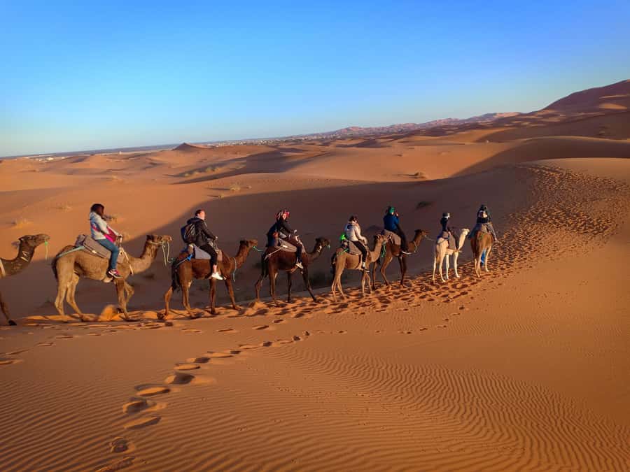 From Marrakech to Fes 3-Day Luxrury Tour via Sahara Desert - Should you book it?