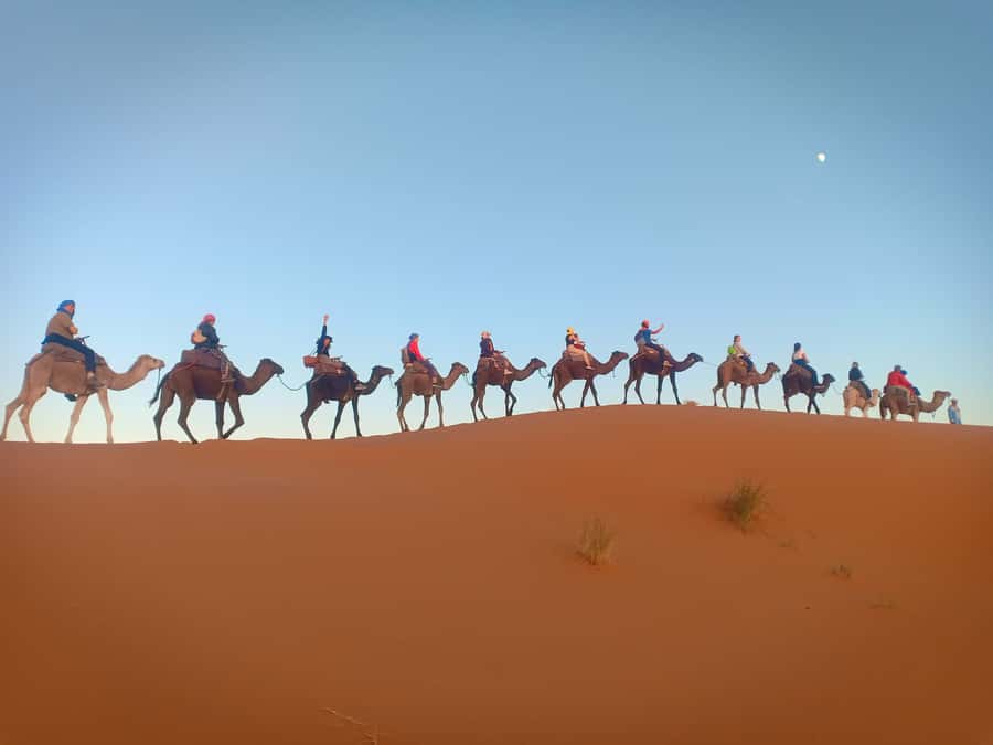 From Marrakech to Fes 3-Day Luxrury Tour via Sahara Desert - Guides, vehicles, and group comfort
