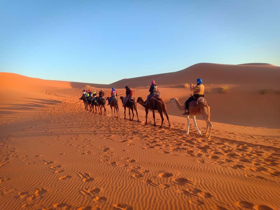 From Marrakech to Merzouga Erg Chebbi: 4-Day Desert Tour - Day 2: Todra Gorge, palm oases, and the camel ride