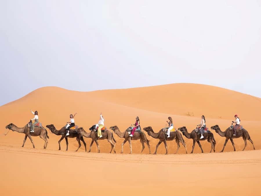 From Marrakech: Unforgettable 3-Day Desert Tour to Fes - Todra Gorge and the road to the Sahara