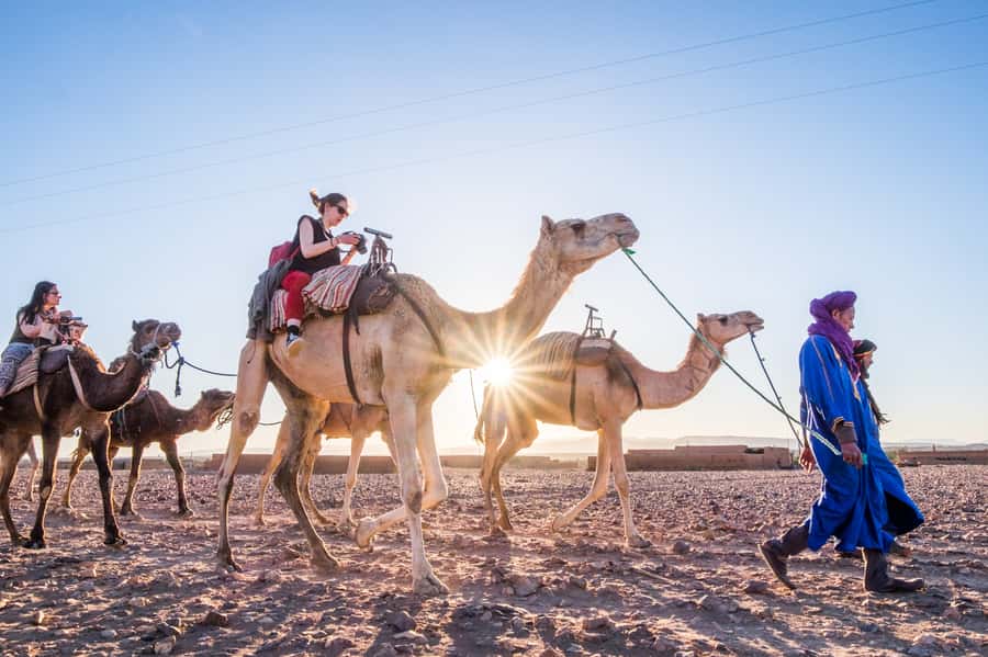 From Marrakech: Zagora 2-Day Desert Safari with Food & Camp - Key points at a glance