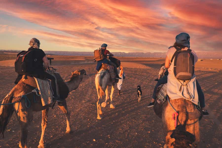 From Marrakech: Zagora 2-Day Desert Safari with Food & Camp - Through Agdez and the Draa Valley
