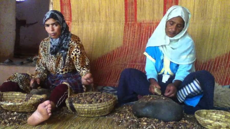 From Marrakesh: Essaouira Day Trip - Is $17 good value?