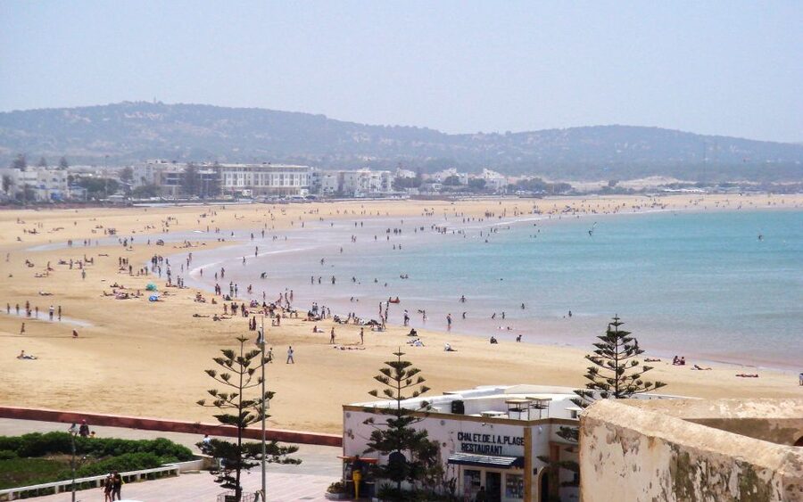 From Marrakesh: Essaouira Day Trip - Moulay Hassan Square, the harbor, and lunch