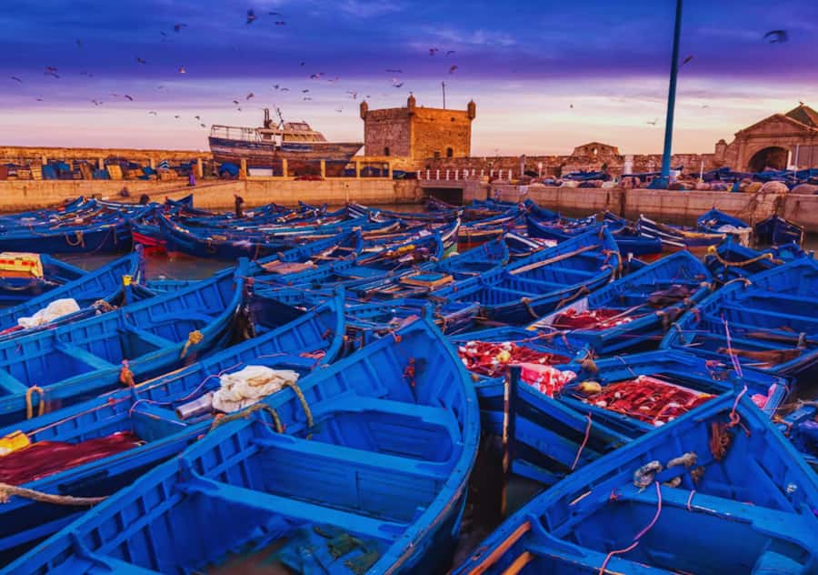 From Marrakesh: Essaouira Full-Day Trip - Leaving Marrakech for the Atlantic coast