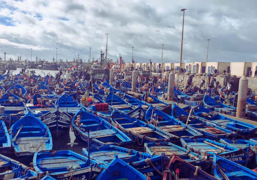 From Marrakesh: Essaouira Full-Day Trip - First impressions of Essaouira