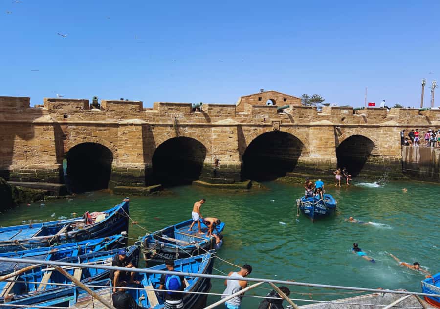 From Marrakesh: Essaouira Full-Day Trip - Comfort, timing, and the $20 price