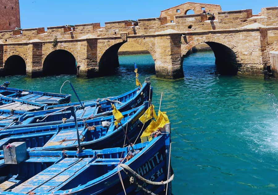 From Marrakesh: Essaouira Full-Day Trip - Who should book this Essaouira day trip?