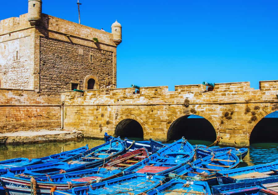 From Marrakesh: Essaouira Full-Day Trip - The argan cooperative stop
