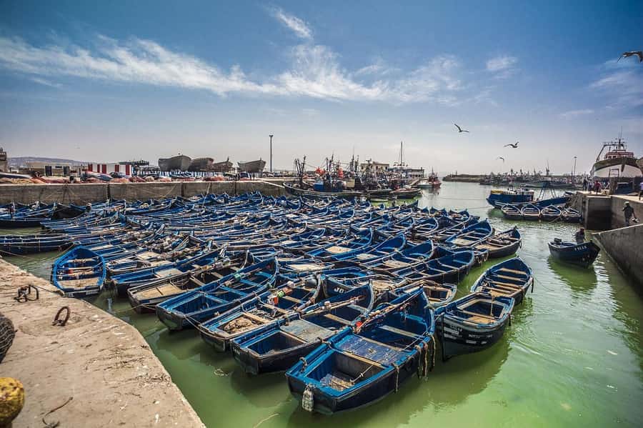 From Marrakesh: Small Group To Essaouira With Opt Activities - Why Essaouira makes a good break from Marrakech