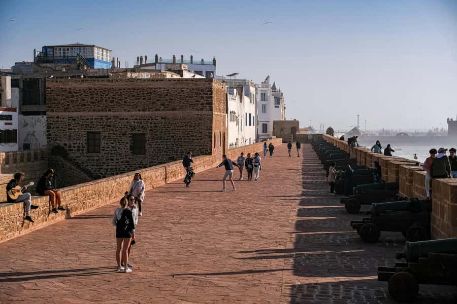 From Marrakesh: Small Group To Essaouira With Opt Activities - The argan oil co-operative and its place in the day