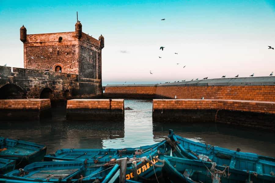 From Marrakesh: Small Group To Essaouira With Opt Activities - Entering Essaouira’s port and seafood market