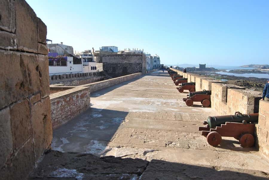From Marrakesh: Small Group To Essaouira With Opt Activities - Who should choose this day trip