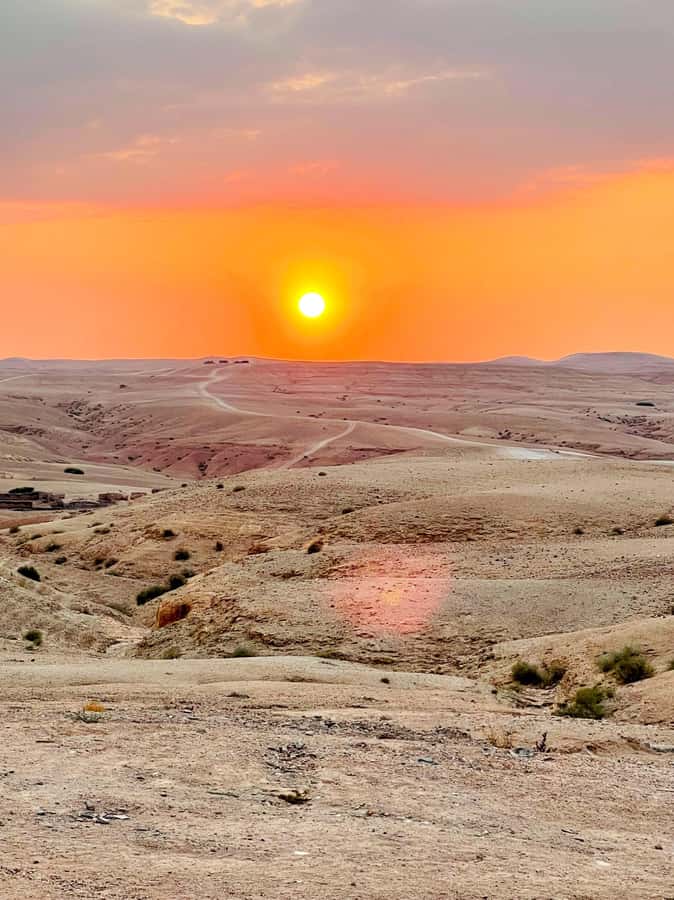 From Marrakesh: Sunset Dinner in Agafay at Berber Camp - Who will enjoy this five-hour desert evening?