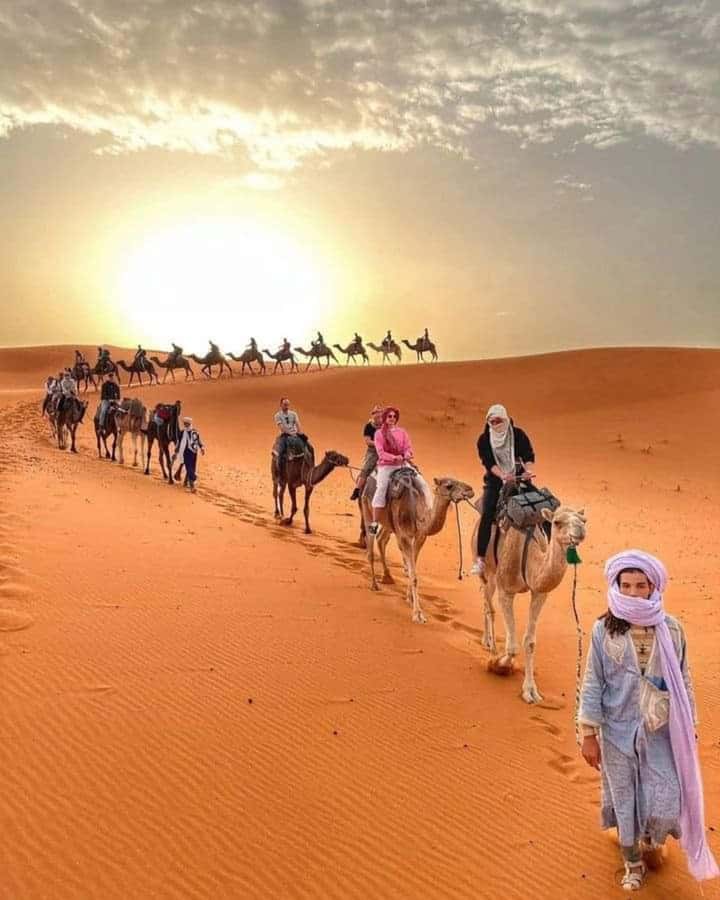 From Merzouga: Overnight Camel Trek over Erg Chebbi Dunes - At a glance