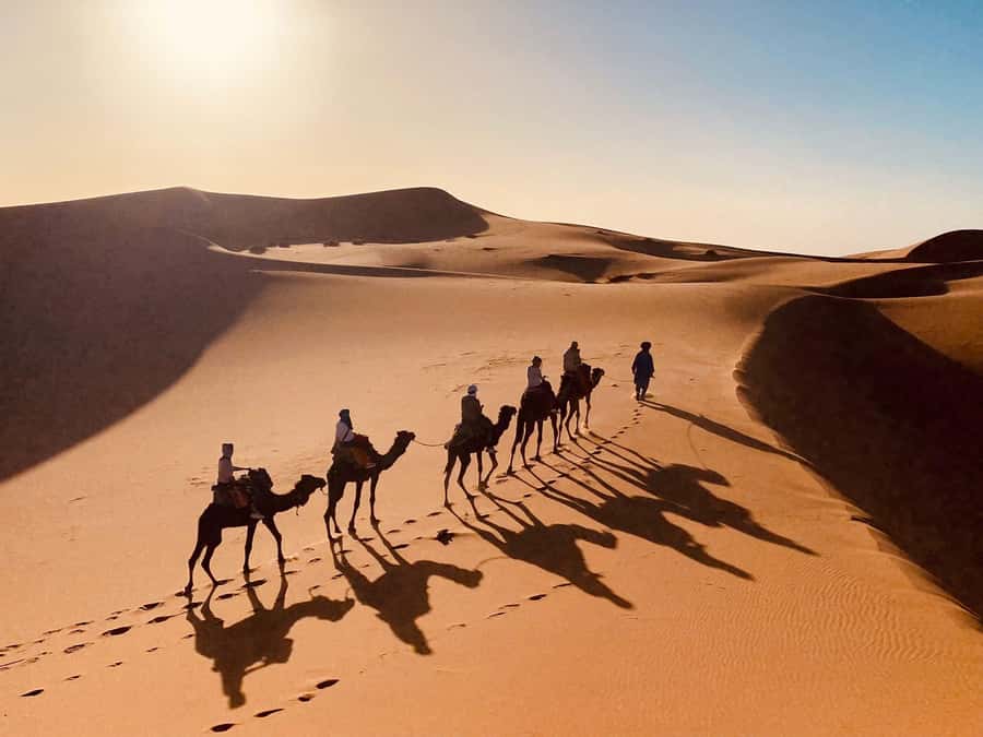From Merzouga: Overnight Camel Trek over Erg Chebbi Dunes - Sunrise over the dunes and the ride back