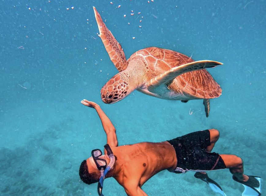 From Mindelo: São Vicente's Enchanting Sea Turtle Snorkeling - The guides make the biggest difference