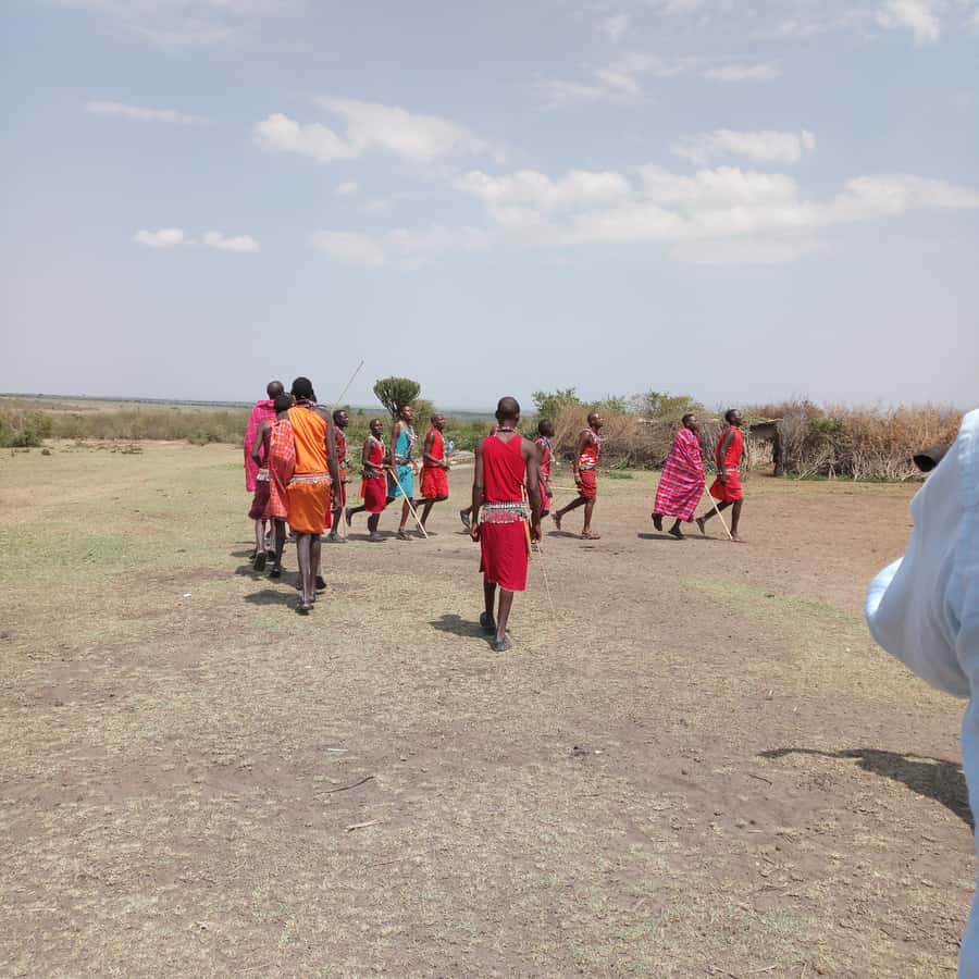 From Nairobi: 3 Days, 2 Nights Maasai Mara Group Safari - The full Day 2 game drive in the Mara