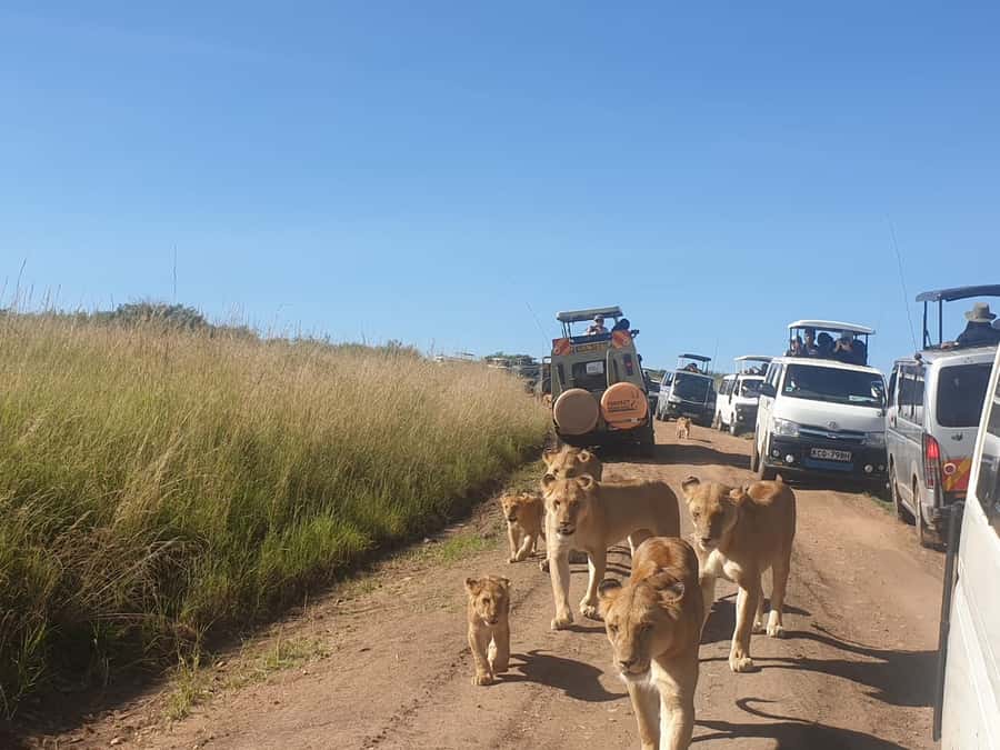 From Nairobi: 3 Days, 2 Nights Maasai Mara Group Safari - Nairobi pickup and the long road south
