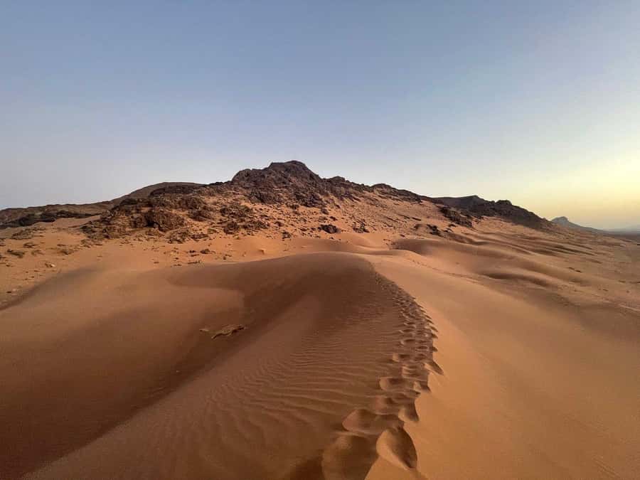 From Ouarzazate: 2-Day Excursion to Zagora Desert - What this Ouarzazate to Zagora trip is really like