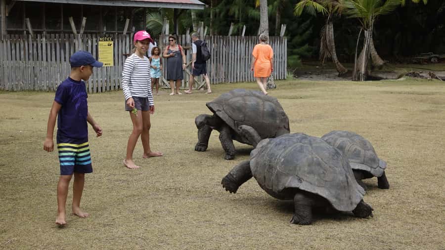 From Praslin: Cousin, Curieuse & St Pierre Islands Day Tour - What this Praslin island-hopping day is really like