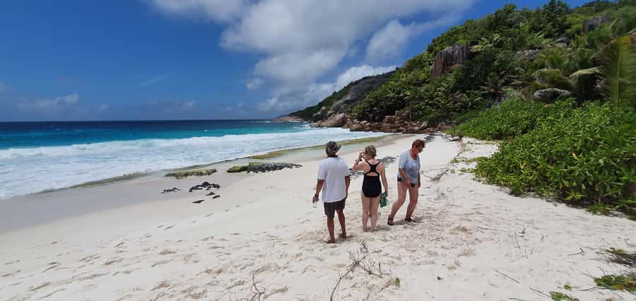 From Praslin: Cousin, Curieuse & St Pierre Islands Day Tour - Boat transfers, delays, and group size