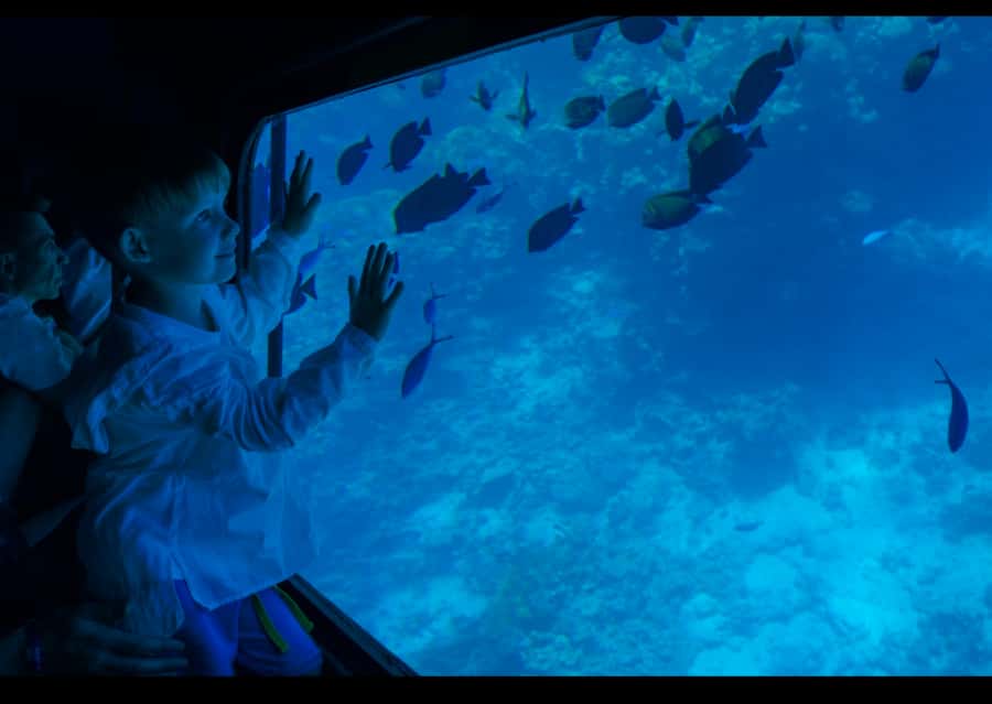 From Safaga: Royal Seascope Submarine with Snorkeling - From Safaga to Makadi Bay by Road and Boat