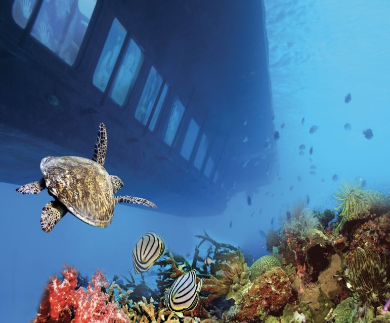 From Safaga: Royal Seascope Submarine with Snorkeling - What the Crew Adds to the Trip
