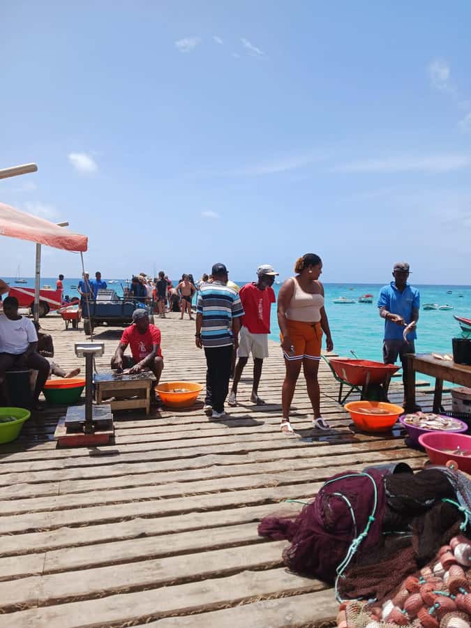 From Sal Island: Blu eye, Salt lake, Lemon Sharks & Palmeira - Palmeira shows you Sal beyond the resorts
