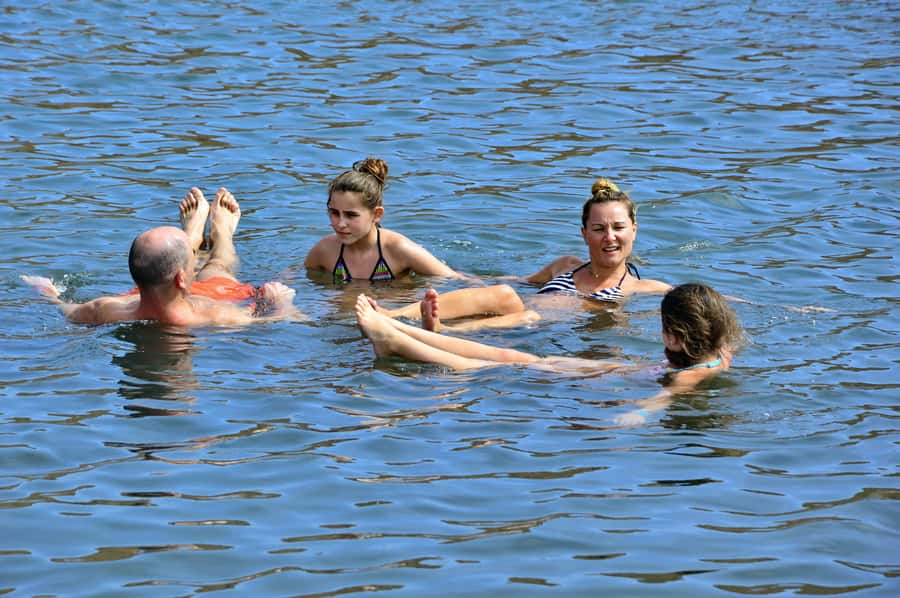 From Sal Island: Blu eye, Salt lake, Lemon Sharks & Palmeira - Shark Bay is the day’s star moment