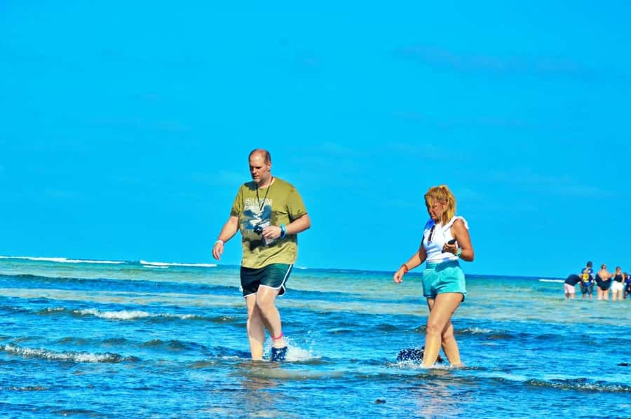 From Sal Island: Blue Eye, Salt Lake, Lemon Sharks, Palmeira - Key points at a glance