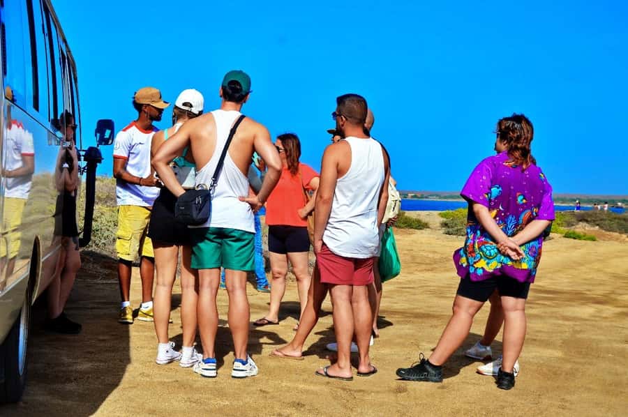 From Sal Island: Blue Eye, Salt Lake, Lemon Sharks, Palmeira - Palmeira: a short look at island life