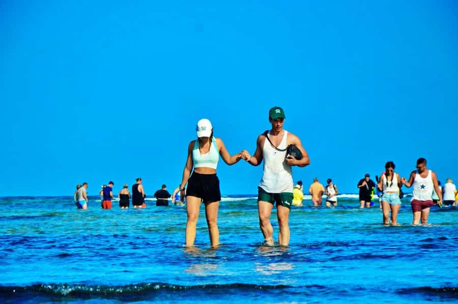 From Sal Island: Blue Eye, Salt Lake, Lemon Sharks, Palmeira - Santa Maria and Murdeira Bay: an easy start