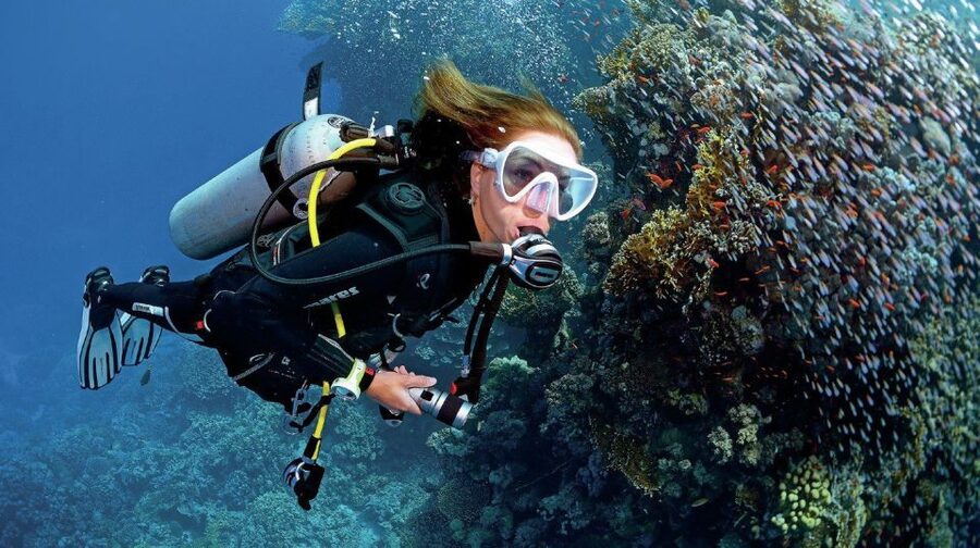 From Sharm: Ras Muhammed & White Island By Boat & intro Dive - Why Ras Muhammad makes this boat day special