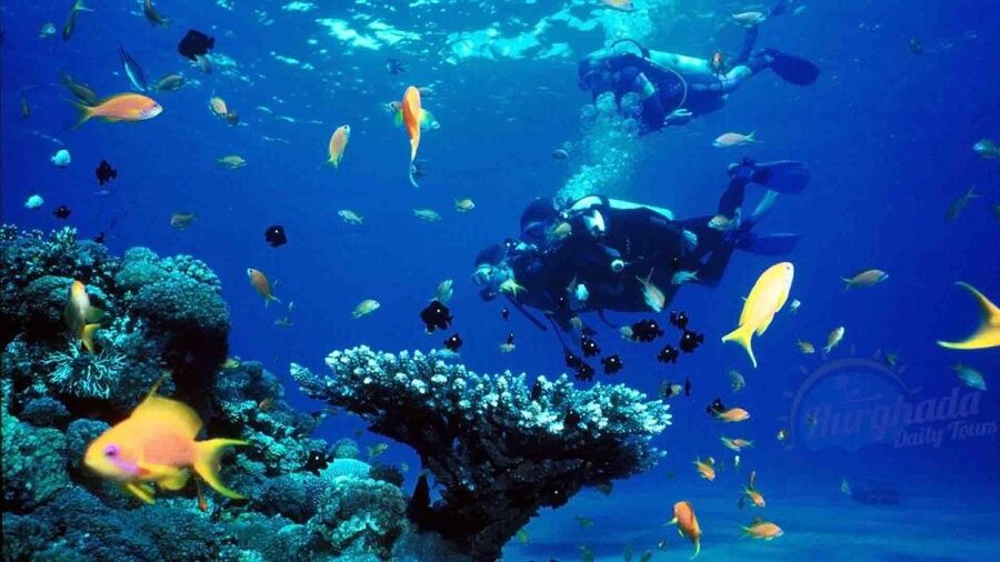 From Sharm: Ras Muhammed & White Island By Boat & intro Dive - The introductory scuba session for beginners