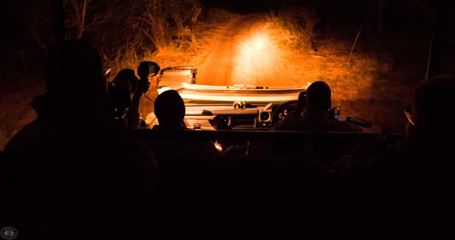 From St Lucia: iSimangaliso Wetland Park Night Drive Safari - Why a night drive changes iSimangaliso