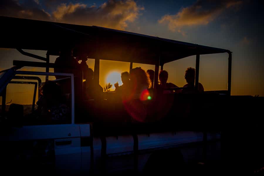 From St Lucia: iSimangaliso Wetland Park Night Drive Safari - Three hours inside iSimangaliso Wetland Park