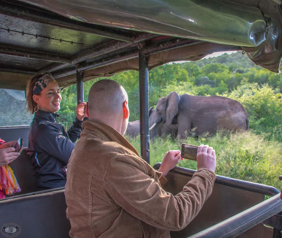 From St Lucia: iSimangaliso Wetland Park Night Drive Safari - Rain, cold, and the limits of night viewing