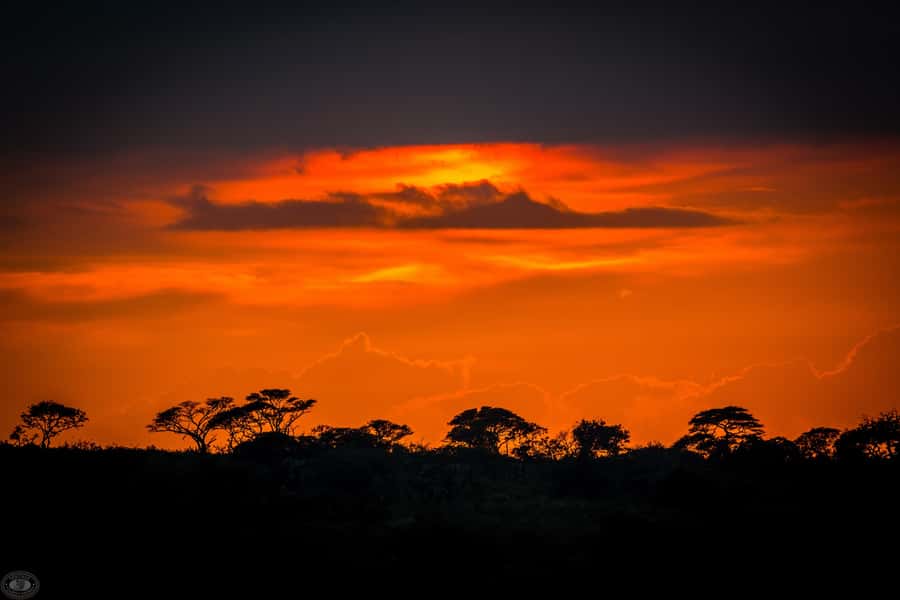 From St Lucia: iSimangaliso Wetland Park Night Drive Safari - Who will enjoy this safari most
