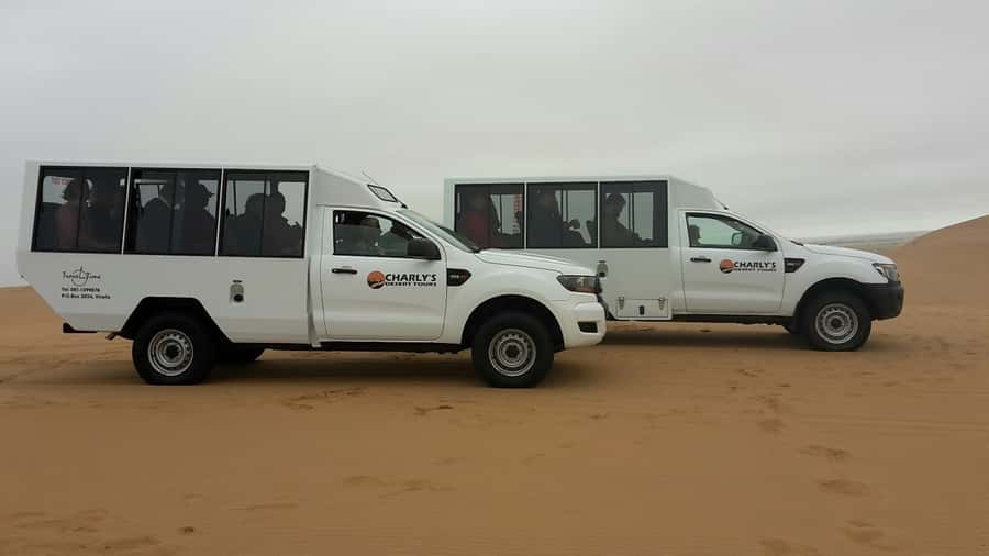 From Swakopmund: Living Dunes Experience - The 3.25-hour search for the Namib’s small five
